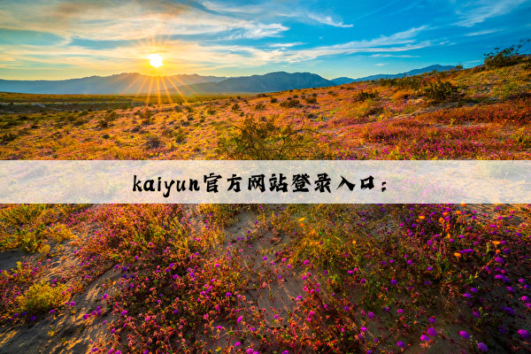 kaiyun官方网站登录入口：